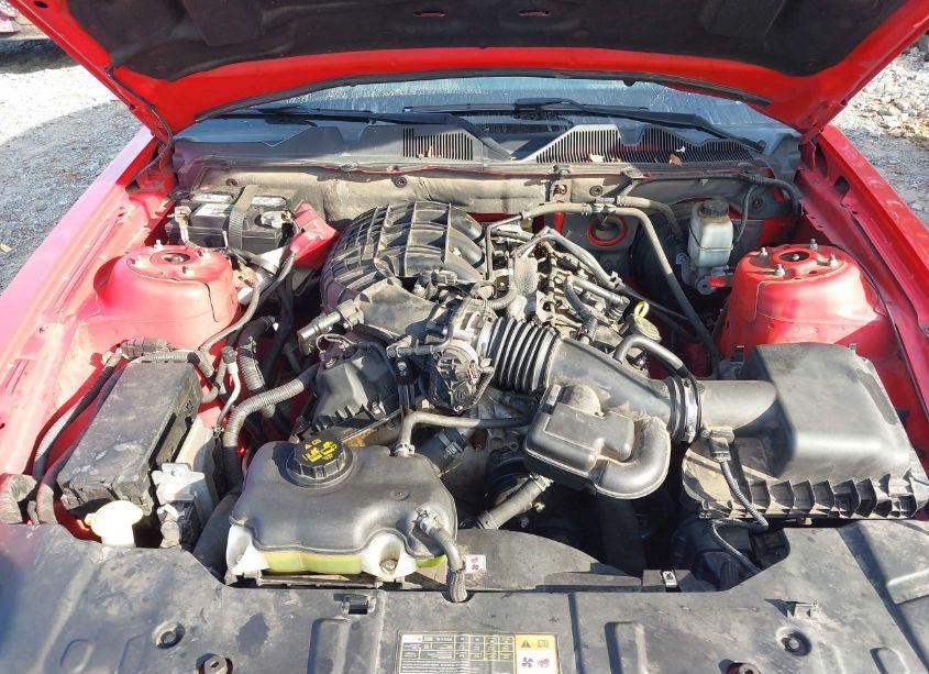 Photo 10 of 2014 Ford Mustang V6 (VIN 1ZVBP8AM6E5280003)