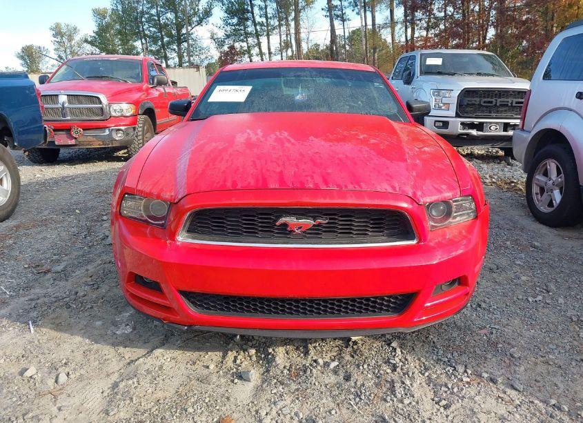 Photo 12 of 2014 Ford Mustang V6 (VIN 1ZVBP8AM6E5280003)