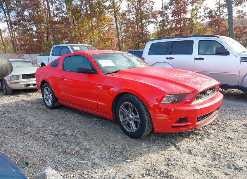 Photo 13 of 2014 Ford Mustang V6 (VIN 1ZVBP8AM6E5280003)