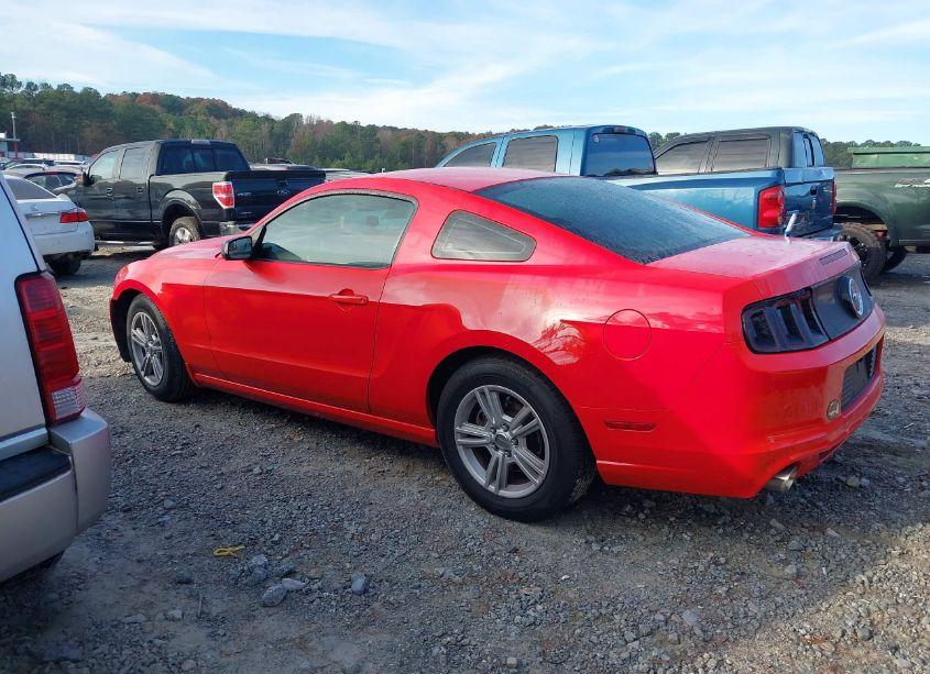 Photo 14 of 2014 Ford Mustang V6 (VIN 1ZVBP8AM6E5280003)