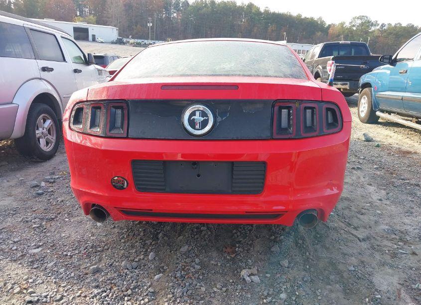 Photo 16 of 2014 Ford Mustang V6 (VIN 1ZVBP8AM6E5280003)