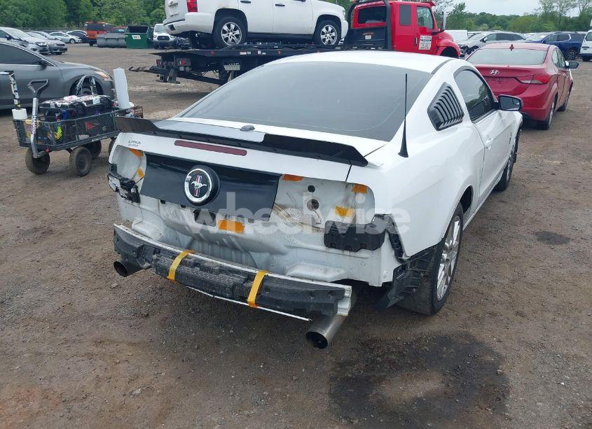 Photo 12 of 2014 Ford Mustang V6 PREMIUM (VIN 1ZVBP8AM6E5290062)