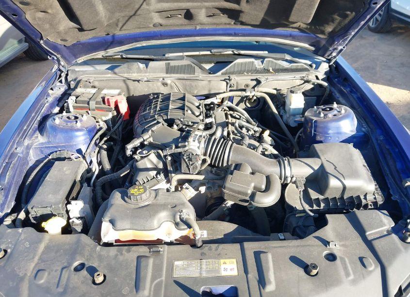 Photo 10 of 2014 Ford Mustang V6 PREMIUM (VIN 1ZVBP8AM6E5293902)