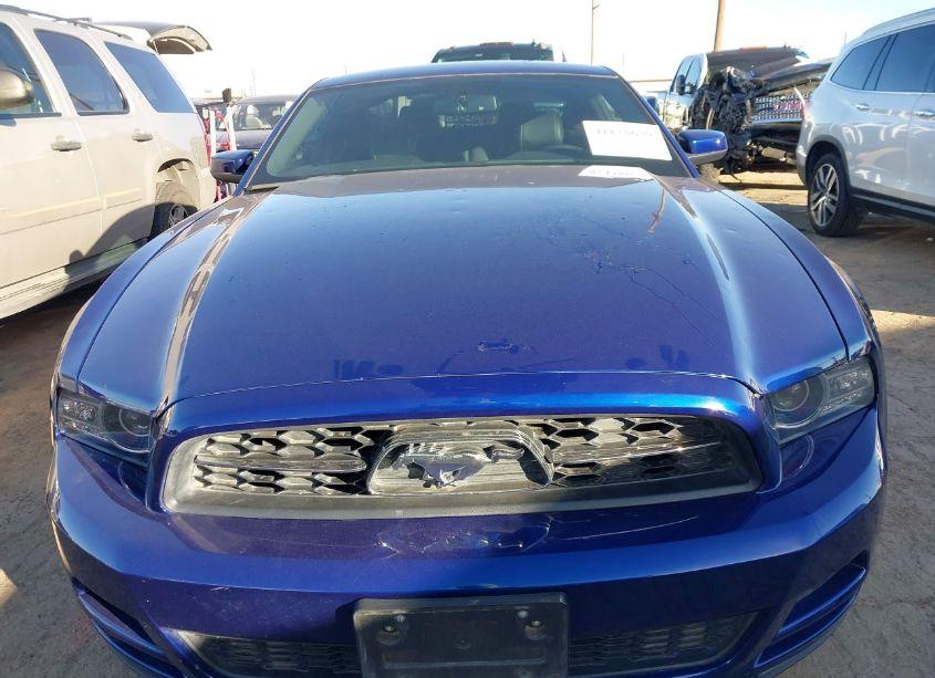 Photo 12 of 2014 Ford Mustang V6 PREMIUM (VIN 1ZVBP8AM6E5293902)