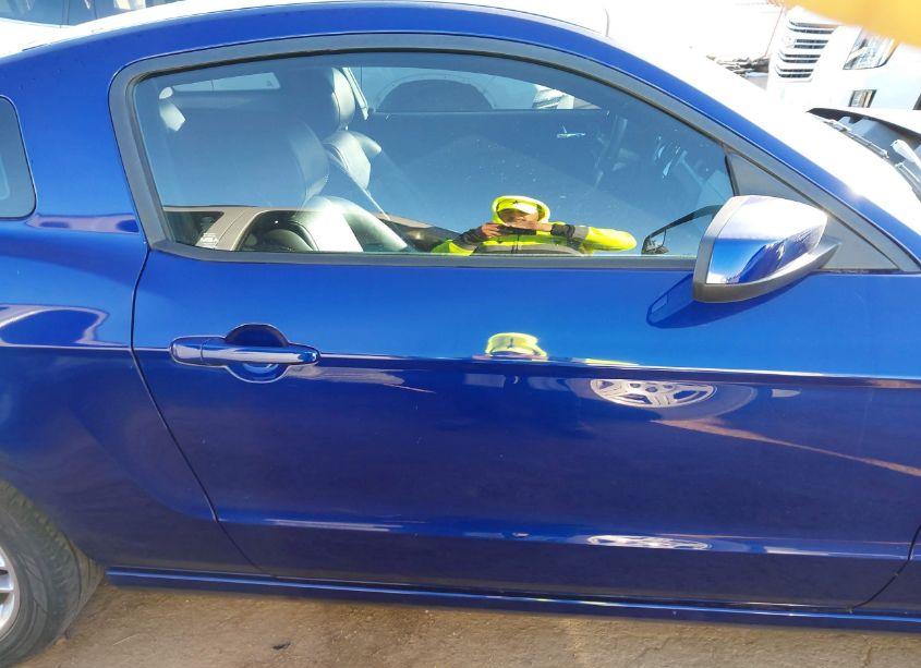 Photo 13 of 2014 Ford Mustang V6 PREMIUM (VIN 1ZVBP8AM6E5293902)