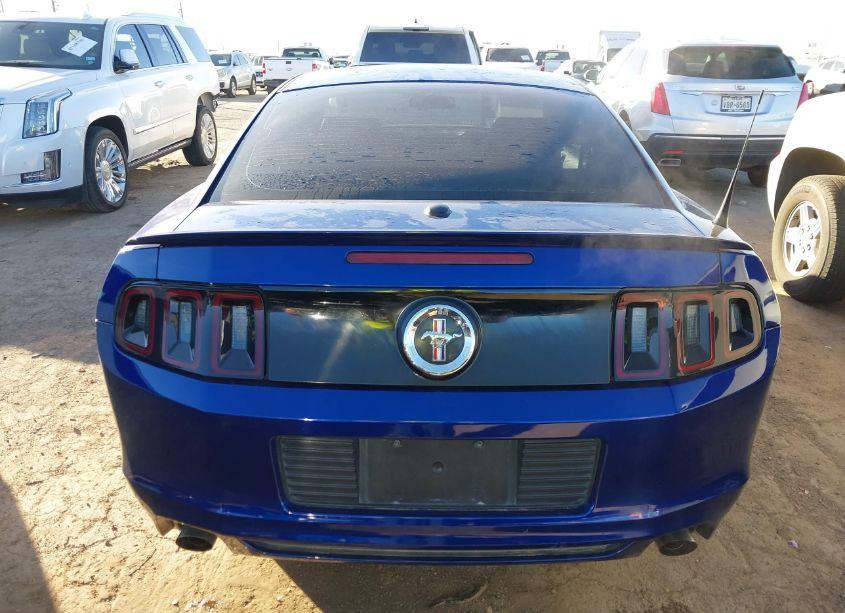 Photo 16 of 2014 Ford Mustang V6 PREMIUM (VIN 1ZVBP8AM6E5293902)