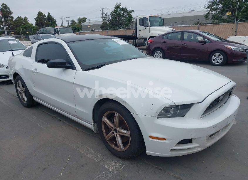 2014 Ford Mustang V6 (VIN 1ZVBP8AM6E5311038) main photo