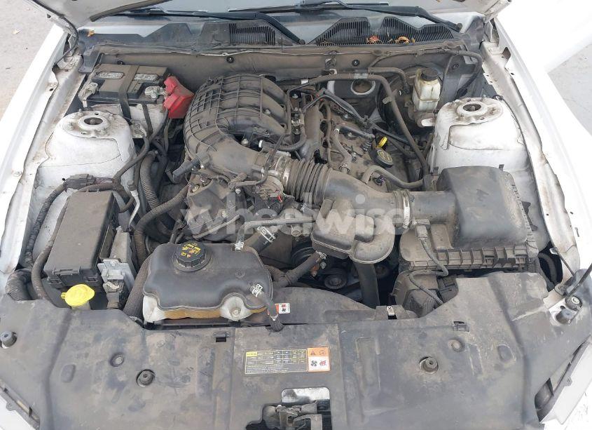 Photo 10 of 2014 Ford Mustang V6 (VIN 1ZVBP8AM6E5311038)
