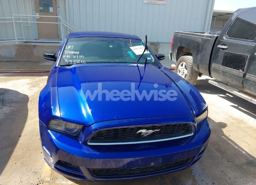 Photo 12 of 2014 Ford Mustang V6 (VIN 1ZVBP8AM6E5320810)