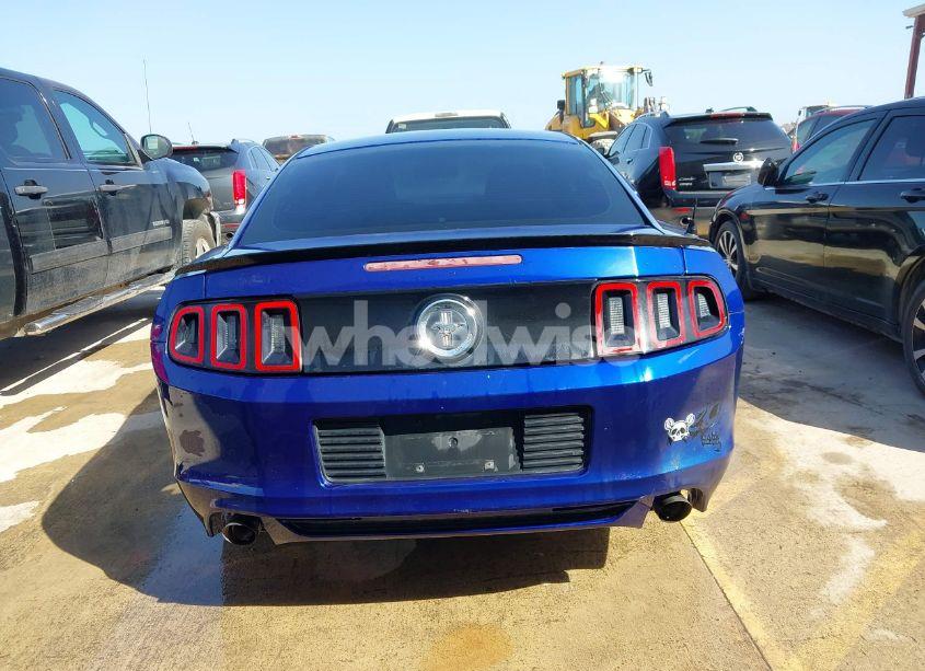 Photo 16 of 2014 Ford Mustang V6 (VIN 1ZVBP8AM6E5320810)