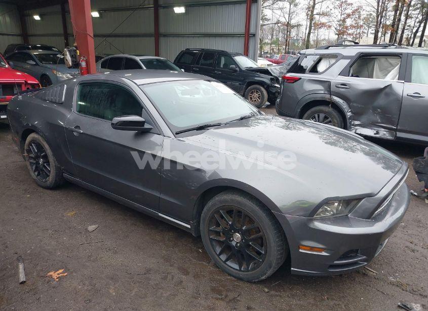 2014 Ford Mustang V6 (VIN 1ZVBP8AM6E5334433) main photo