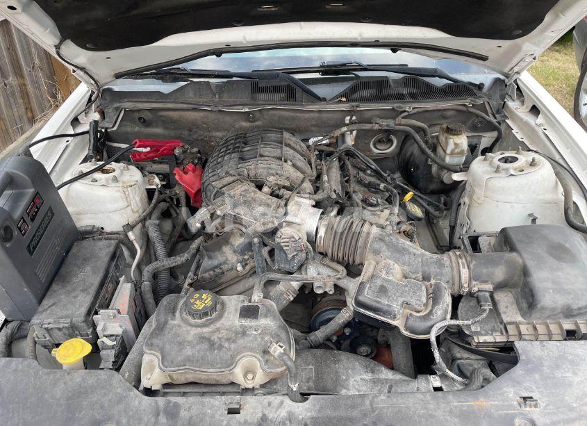 Photo 10 of 2011 Ford Mustang (VIN 1ZVBP8AM7B5111586)