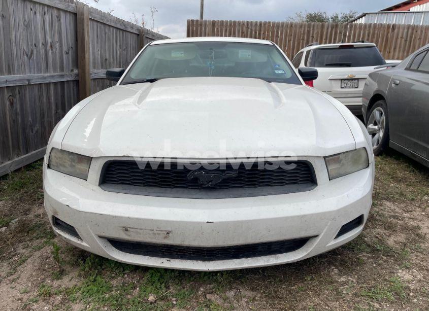 Photo 11 of 2011 Ford Mustang (VIN 1ZVBP8AM7B5111586)