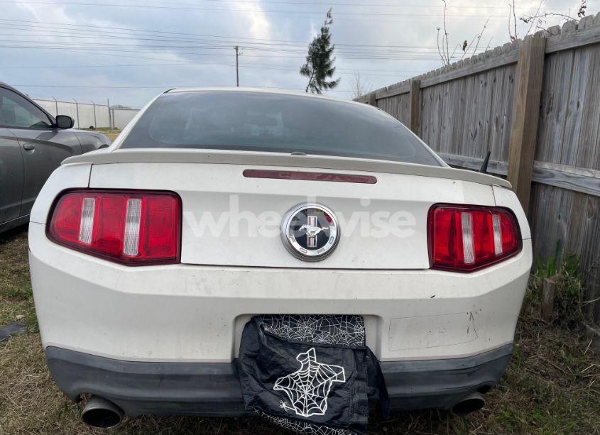 Photo 12 of 2011 Ford Mustang (VIN 1ZVBP8AM7B5111586)