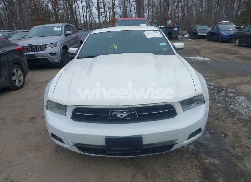 Photo 13 of 2011 Ford Mustang V6 PREMIUM (VIN 1ZVBP8AM7B5139937)