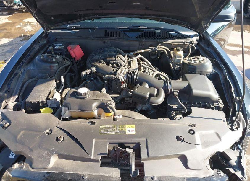 Photo 10 of 2011 Ford Mustang V6 (VIN 1ZVBP8AM7B5157323)