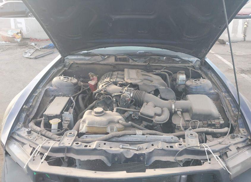 Photo 10 of 2012 Ford Mustang V6 (VIN 1ZVBP8AM7C5251722)