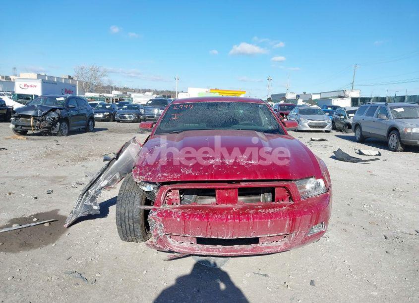 Photo 12 of 2012 Ford Mustang V6 PREMIUM (VIN 1ZVBP8AM7C5266947)