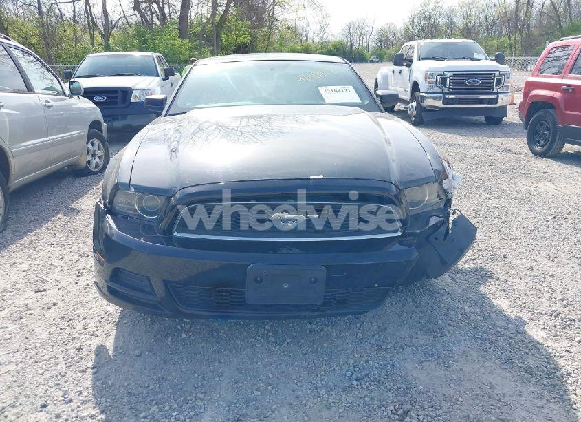 Photo 13 of 2013 Ford Mustang V6 (VIN 1ZVBP8AM7D5203672)