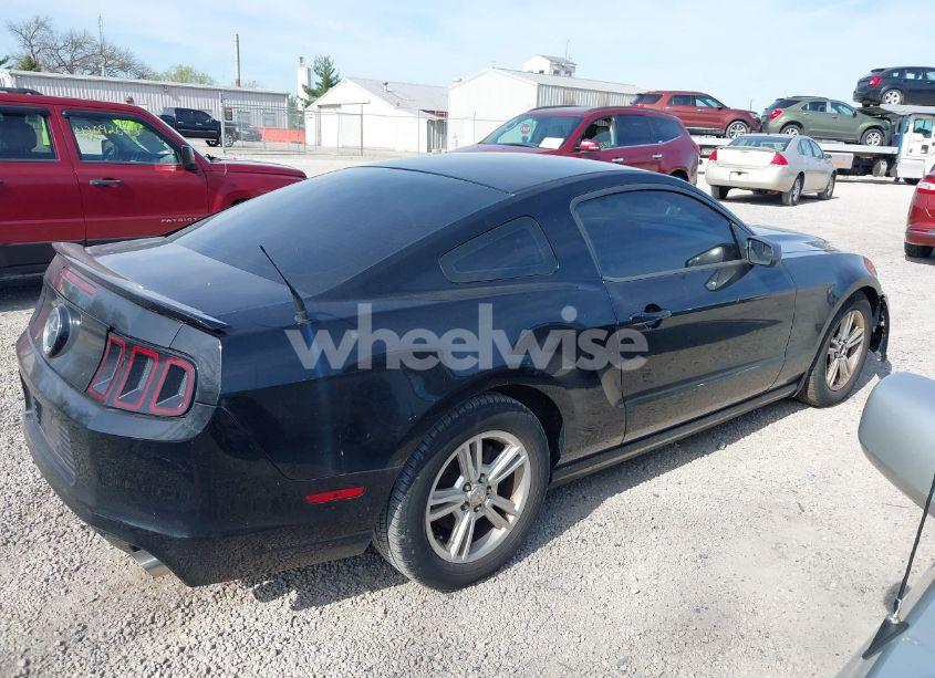 Photo 14 of 2013 Ford Mustang V6 (VIN 1ZVBP8AM7D5203672)