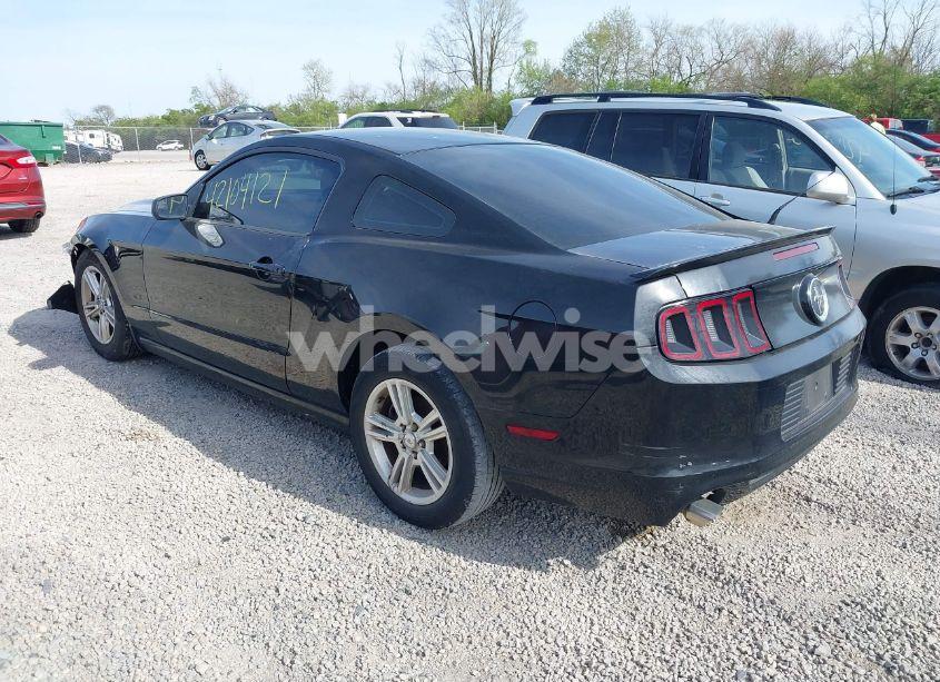 Photo 3 of 2013 Ford Mustang V6 (VIN 1ZVBP8AM7D5203672)
