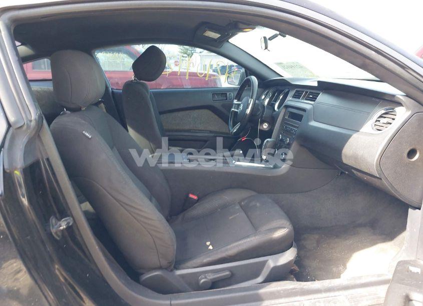 Photo 5 of 2013 Ford Mustang V6 (VIN 1ZVBP8AM7D5203672)