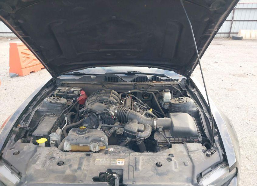 Photo 10 of 2013 Ford Mustang V6 PREMIUM (VIN 1ZVBP8AM7D5205860)