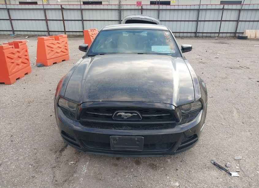 Photo 12 of 2013 Ford Mustang V6 PREMIUM (VIN 1ZVBP8AM7D5205860)