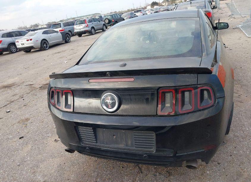 Photo 16 of 2013 Ford Mustang V6 PREMIUM (VIN 1ZVBP8AM7D5205860)