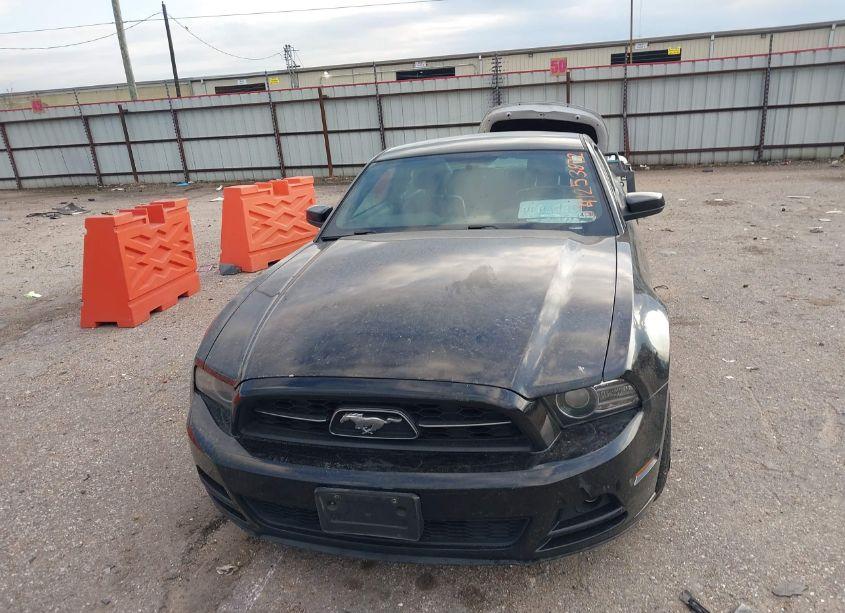 Photo 6 of 2013 Ford Mustang V6 PREMIUM (VIN 1ZVBP8AM7D5205860)