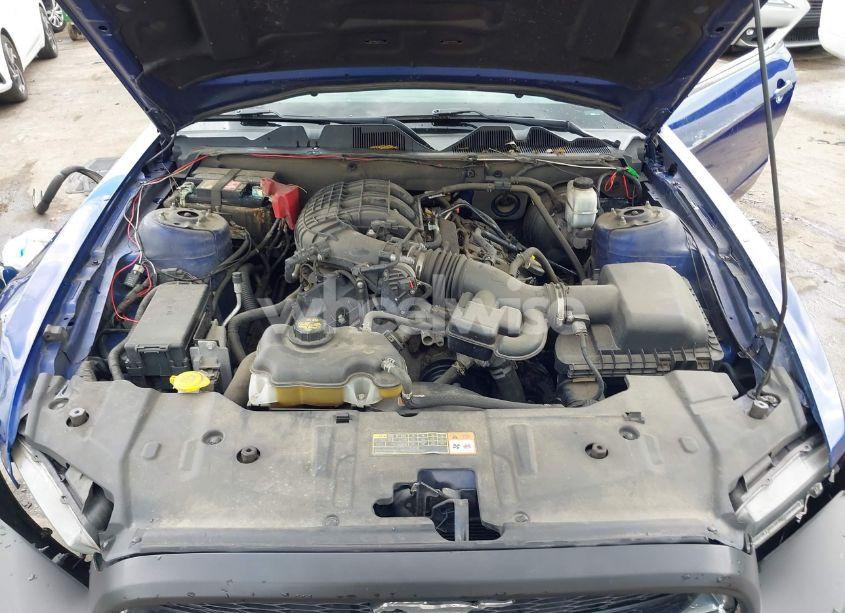 Photo 10 of 2013 Ford Mustang V6 (VIN 1ZVBP8AM7D5228491)