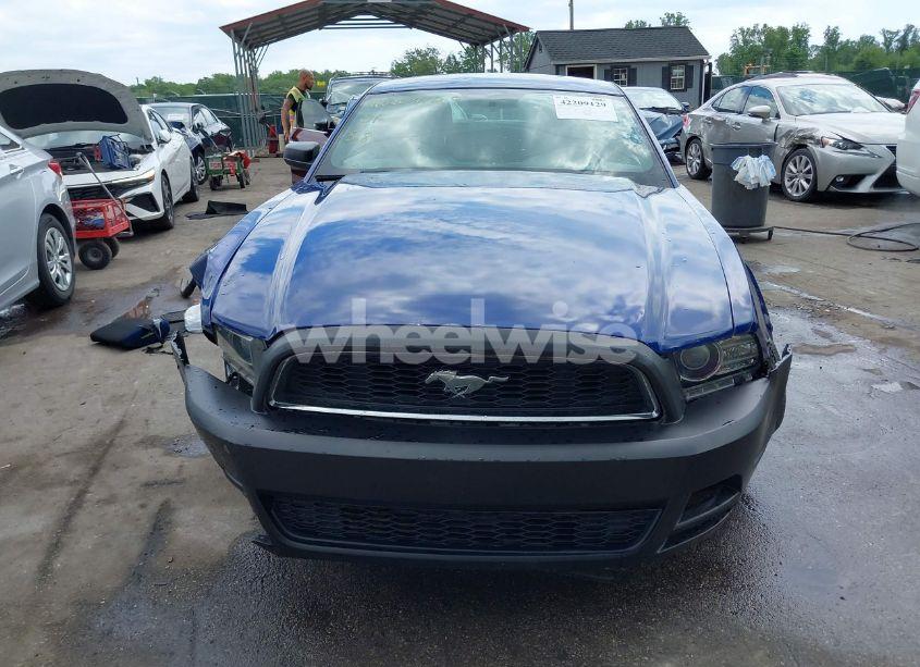Photo 12 of 2013 Ford Mustang V6 (VIN 1ZVBP8AM7D5228491)