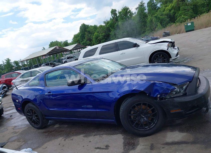 Photo 13 of 2013 Ford Mustang V6 (VIN 1ZVBP8AM7D5228491)