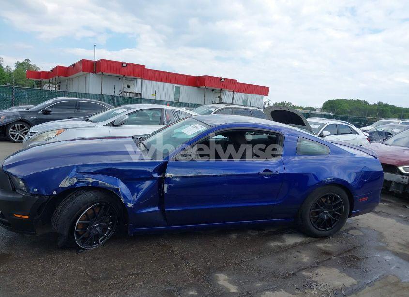 Photo 14 of 2013 Ford Mustang V6 (VIN 1ZVBP8AM7D5228491)