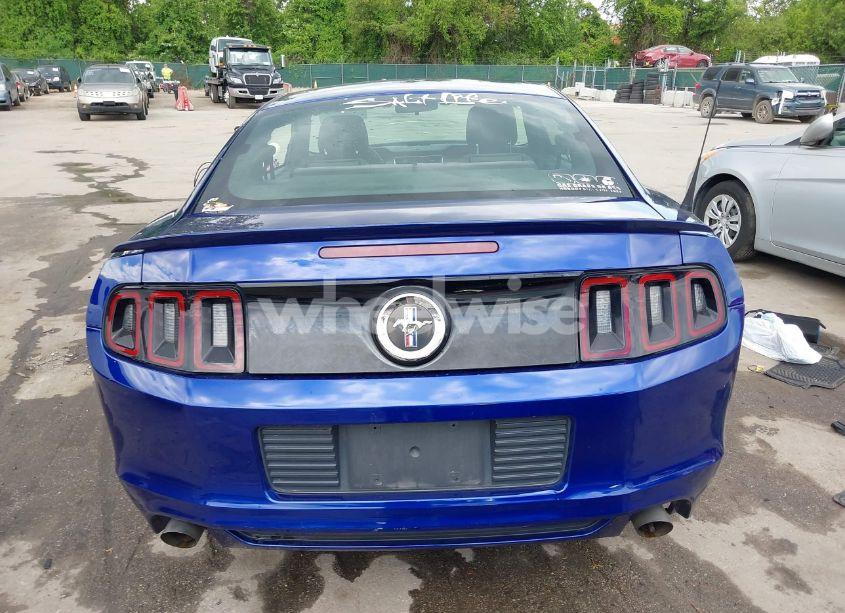 Photo 16 of 2013 Ford Mustang V6 (VIN 1ZVBP8AM7D5228491)