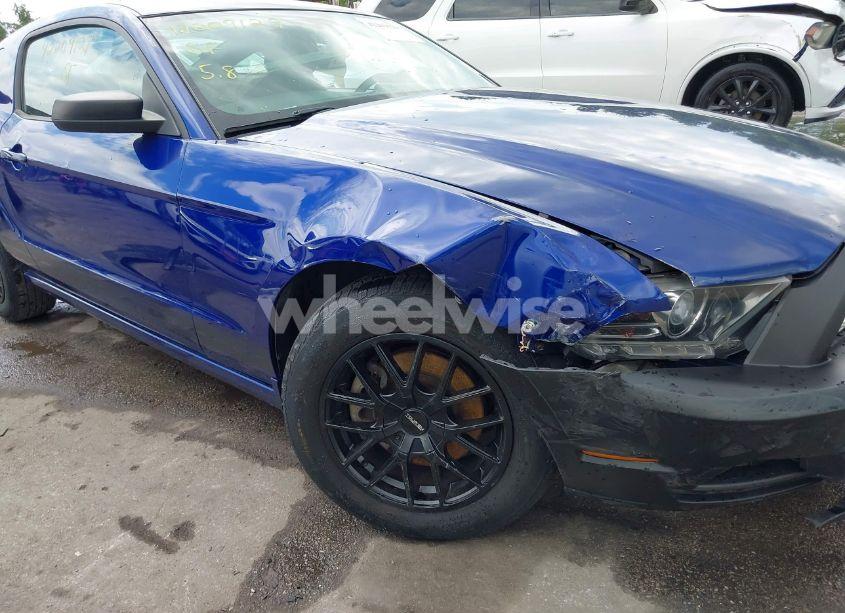 Photo 17 of 2013 Ford Mustang V6 (VIN 1ZVBP8AM7D5228491)