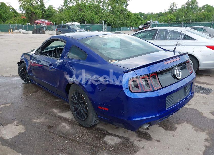 Photo 3 of 2013 Ford Mustang V6 (VIN 1ZVBP8AM7D5228491)
