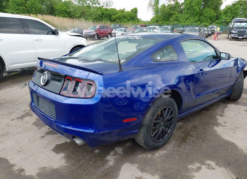 Photo 4 of 2013 Ford Mustang V6 (VIN 1ZVBP8AM7D5228491)