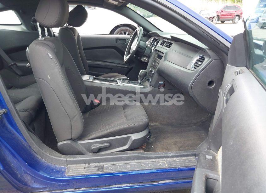 Photo 5 of 2013 Ford Mustang V6 (VIN 1ZVBP8AM7D5228491)