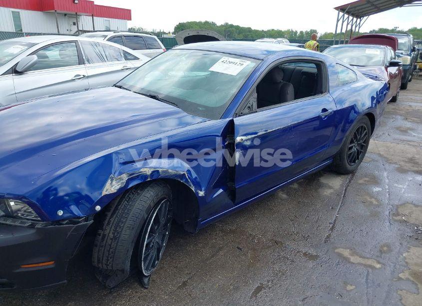 Photo 6 of 2013 Ford Mustang V6 (VIN 1ZVBP8AM7D5228491)