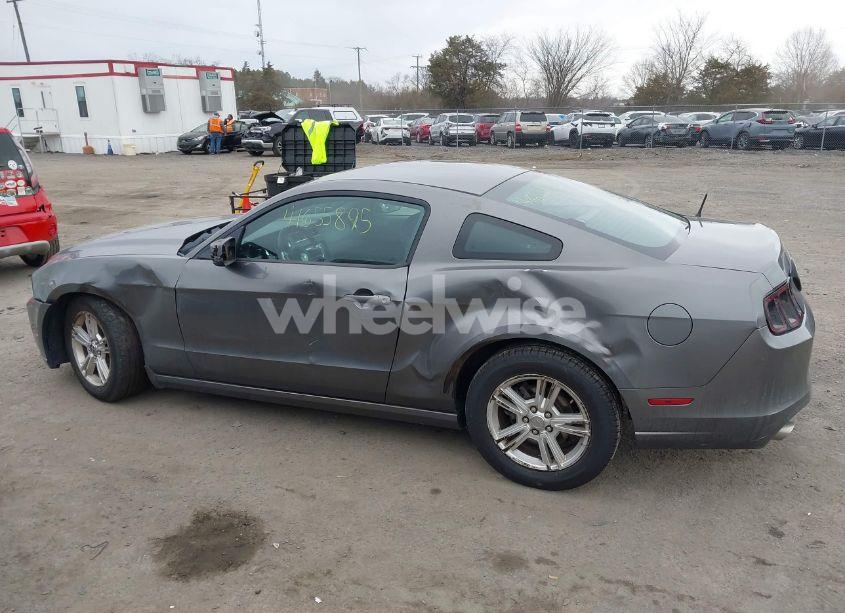 Photo 14 of 2013 Ford Mustang V6 (VIN 1ZVBP8AM7D5231116)