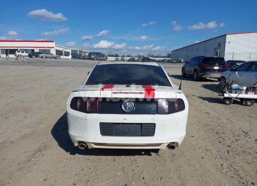 Photo 16 of 2013 Ford Mustang V6 PREMIUM (VIN 1ZVBP8AM7D5243850)