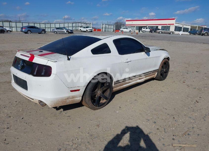 Photo 4 of 2013 Ford Mustang V6 PREMIUM (VIN 1ZVBP8AM7D5243850)