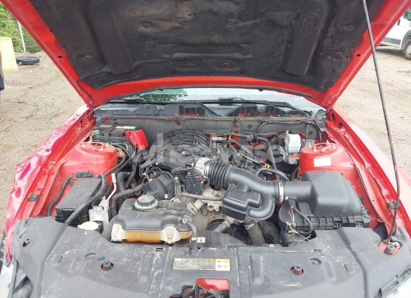 Photo 10 of 2013 Ford Mustang V6 PREMIUM (VIN 1ZVBP8AM7D5244237)