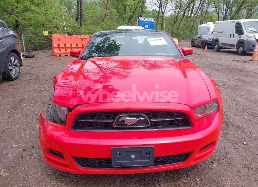 Photo 12 of 2013 Ford Mustang V6 PREMIUM (VIN 1ZVBP8AM7D5244237)
