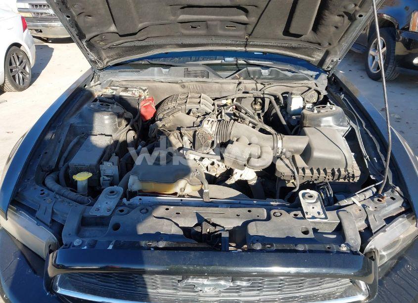 Photo 10 of 2013 Ford Mustang V6 PREMIUM (VIN 1ZVBP8AM7D5275813)