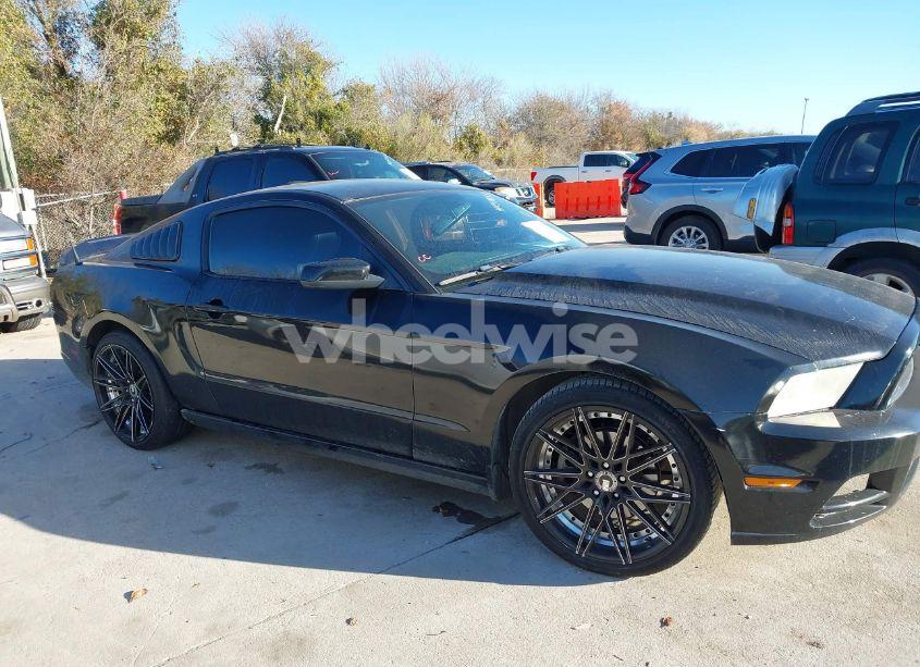 Photo 13 of 2013 Ford Mustang V6 PREMIUM (VIN 1ZVBP8AM7D5275813)
