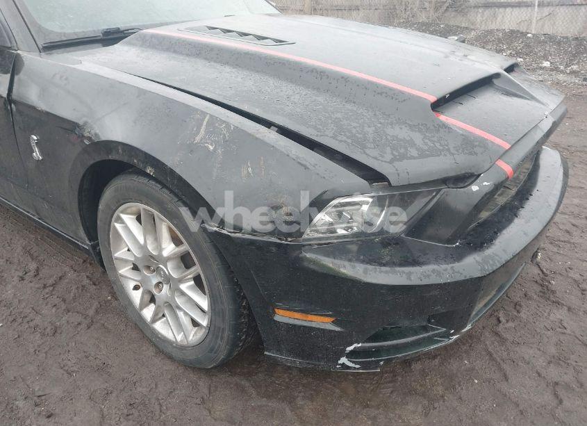 Photo 19 of 2014 Ford Mustang V6 PREMIUM (VIN 1ZVBP8AM7E5230808)