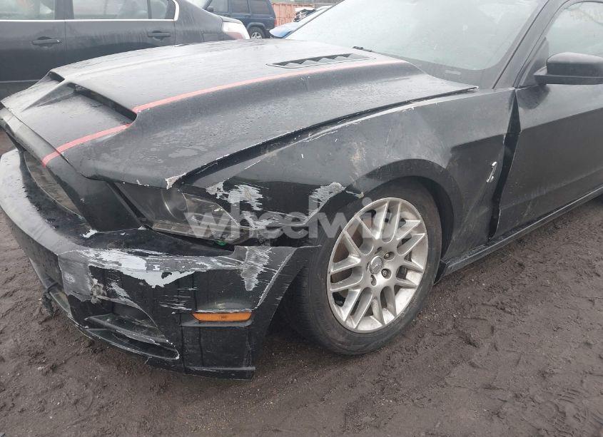 Photo 6 of 2014 Ford Mustang V6 PREMIUM (VIN 1ZVBP8AM7E5230808)