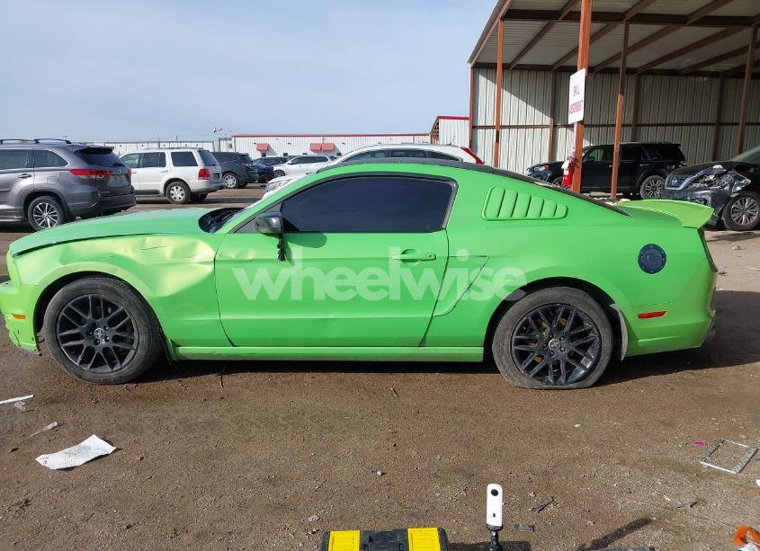 Photo 13 of 2014 Ford Mustang V6 (VIN 1ZVBP8AM7E5237290)